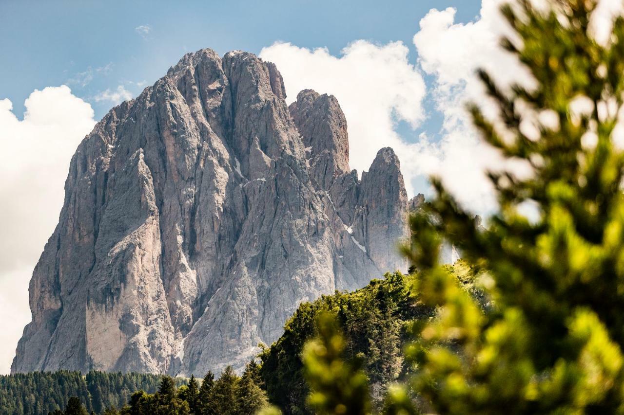 Appartamenti Hetty Santa Cristina Val Gardena Bagian luar foto